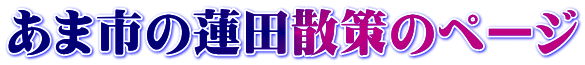 あま市の蓮田散策のページ